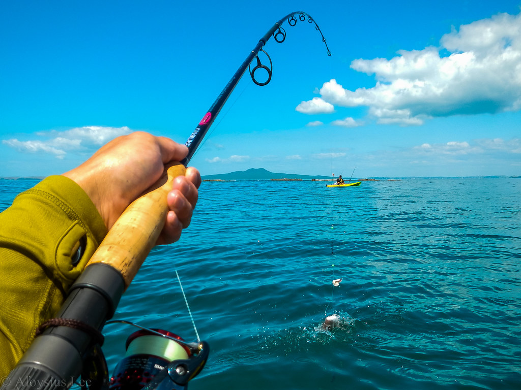 man throw the hook in sea