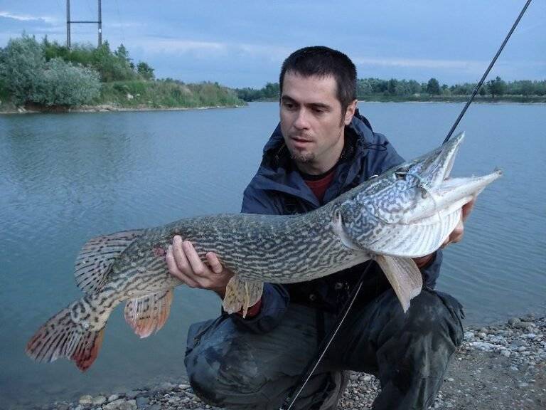 man catches big fish