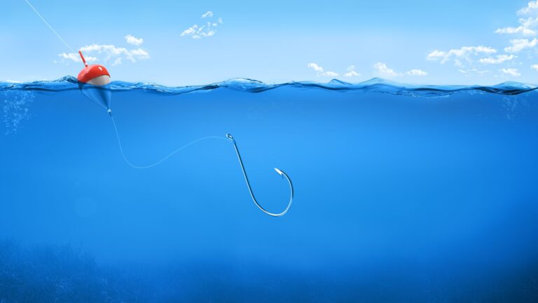 How to find the best fishing hook