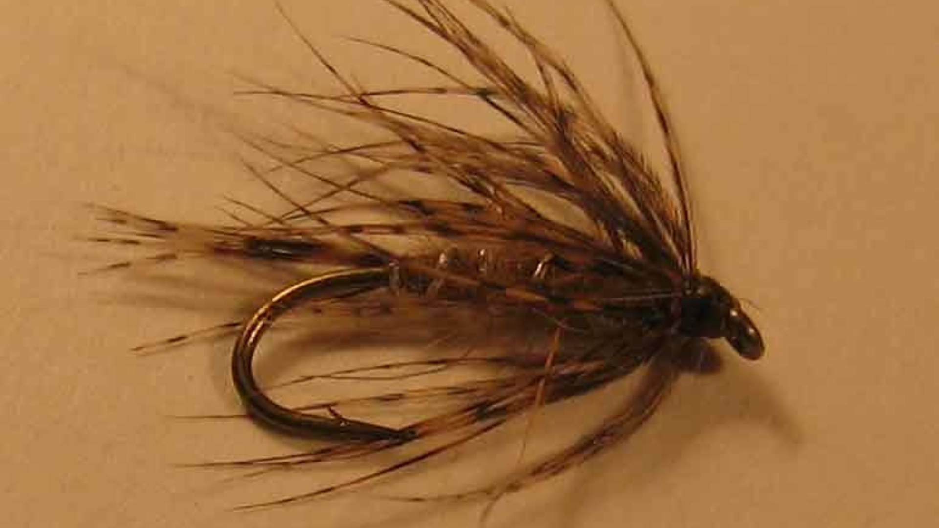 dry fly