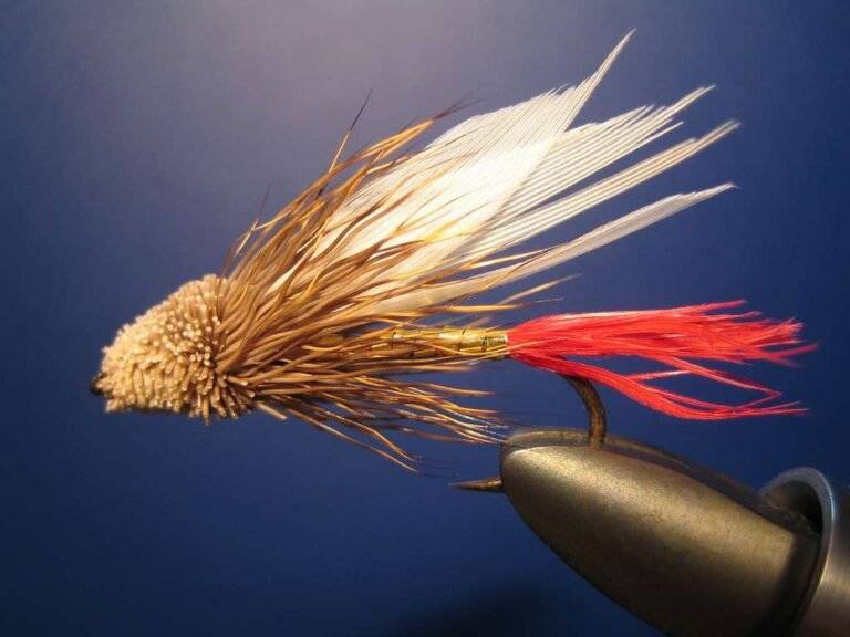 Best Flies for Trout Fishing with images