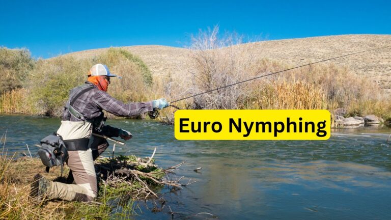 Euro Nymphing: Modern Tactics for Catching More Trout : Expert Tips for Success