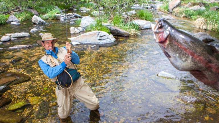 3 Expert Tips for Fly Fishing in Low and Clear Water