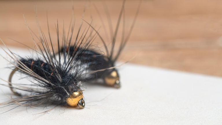 Mastering Effective Dry Fly Fishing: Delicate Presentation Tips