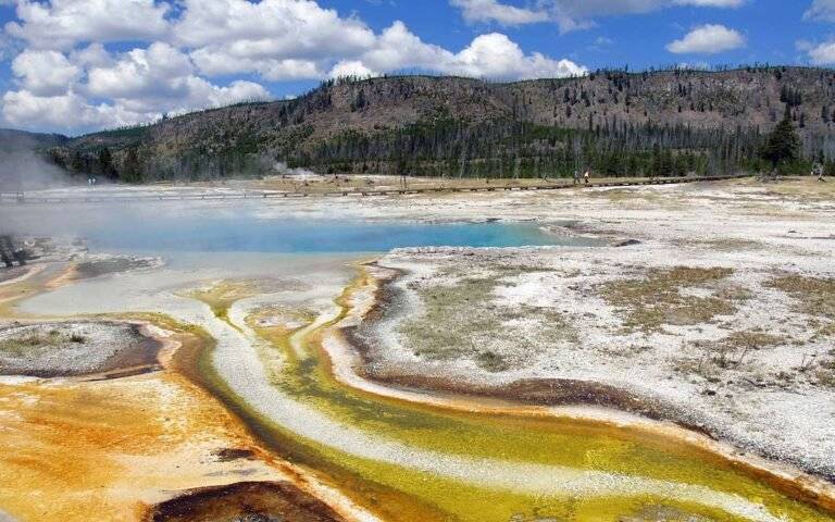 Unleash Your Inner Angler: Fly Fishing in Yellowstone National Park