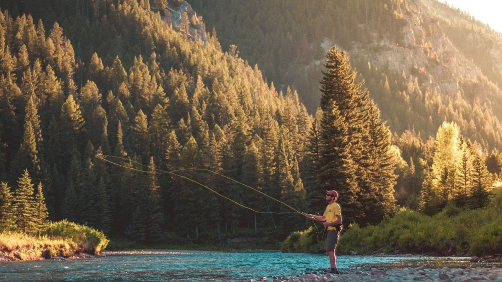 fly fishing in nature