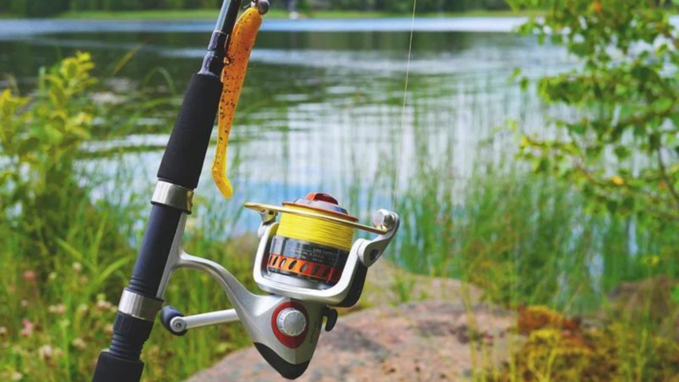 Fly Fishing Ideas: 7 Power-Packed Tips for Mastering Your Technique