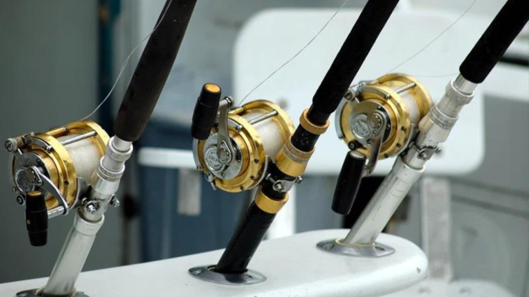 How a Fly Fishing Reel Works: Mastering the Art of Angling