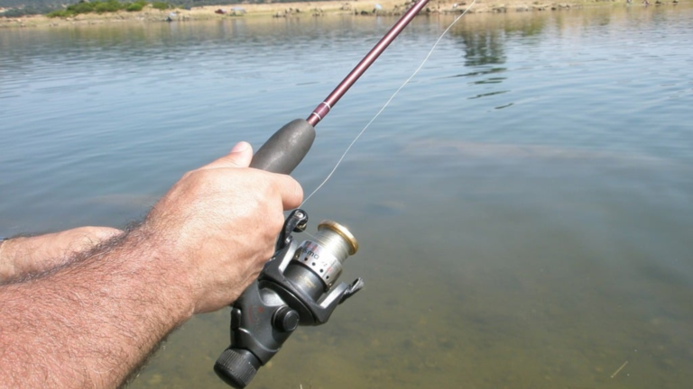 fly fishing rod