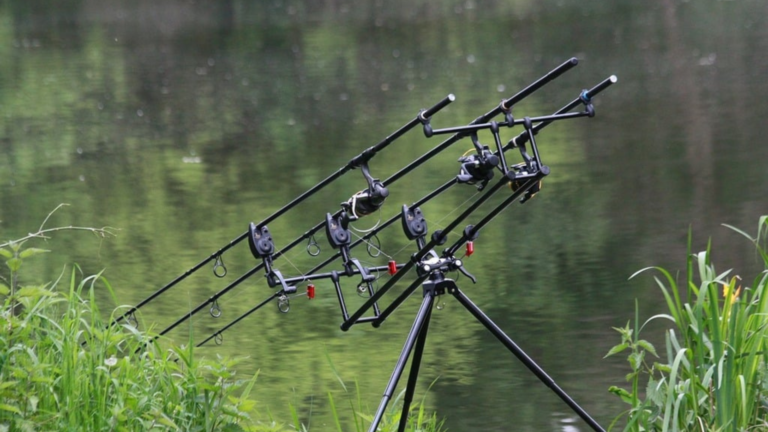 Summer Fishing Rods