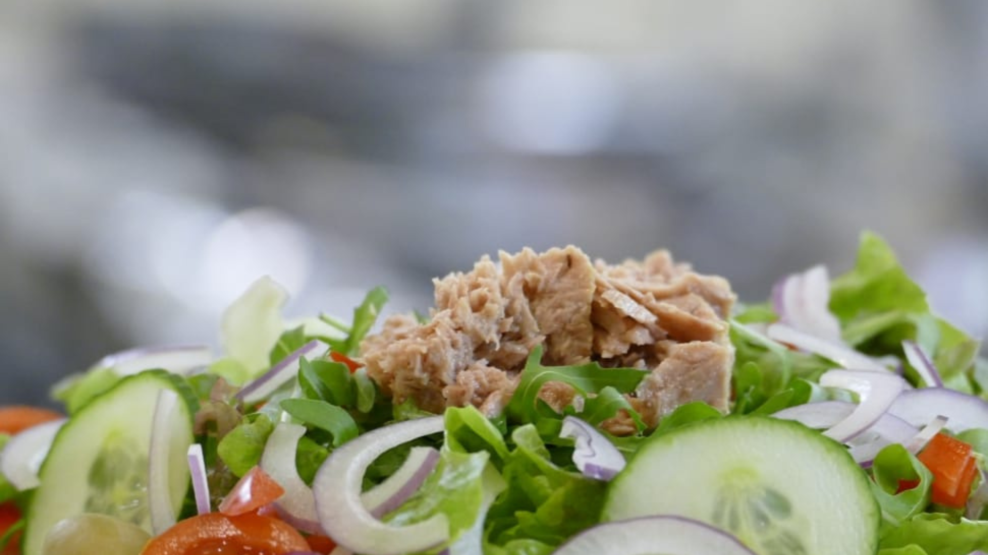 tuna fish salad