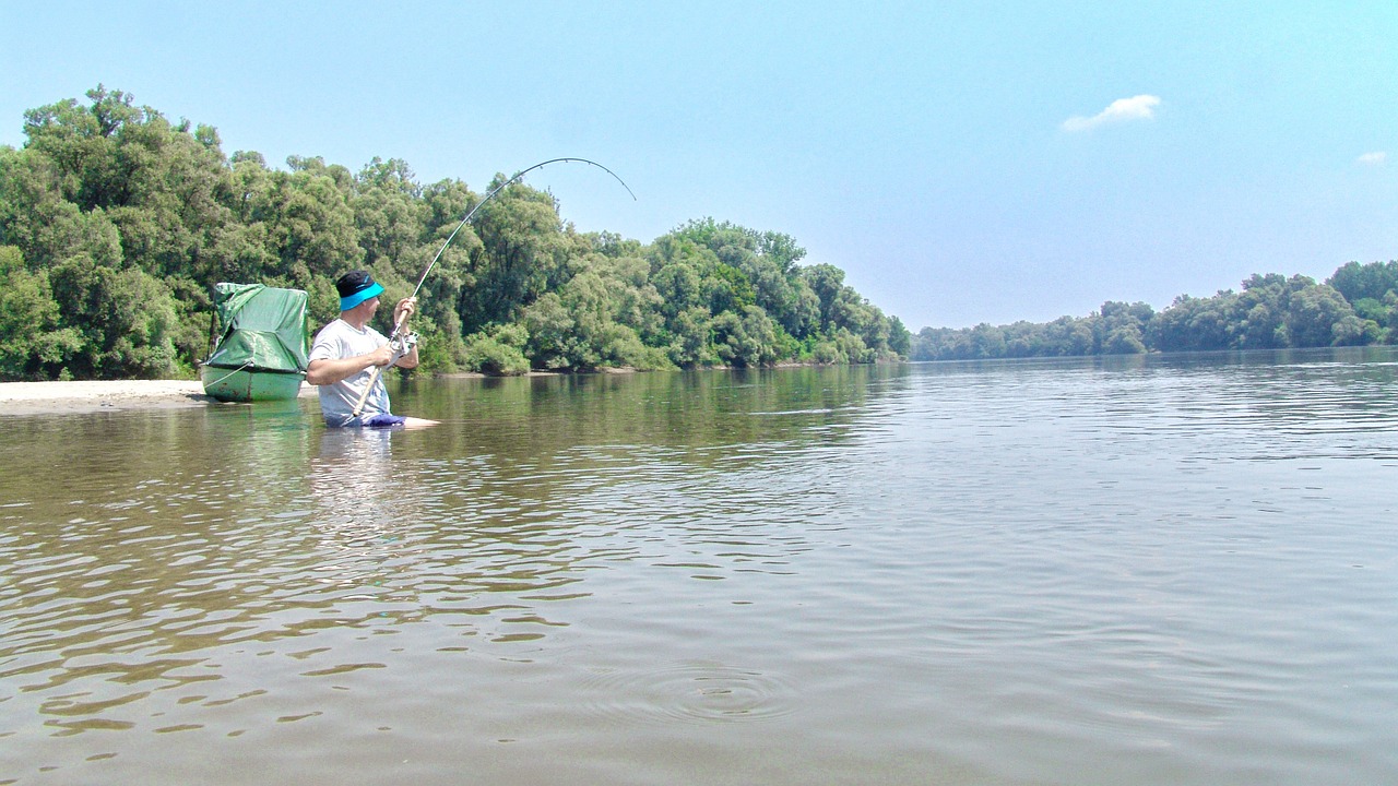 Summer fishing 